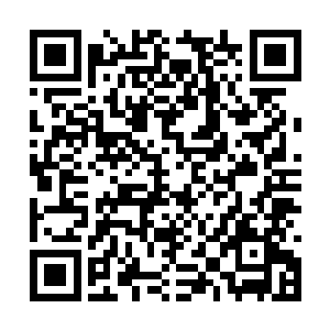 那颗种子现在就在大荒元鼎之内的鸿蒙世界中收着二维码生成
