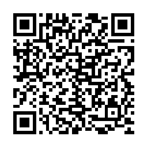 那马家的五名年轻子弟此刻也都一个个惊喜的向着比武擂台望去二维码生成