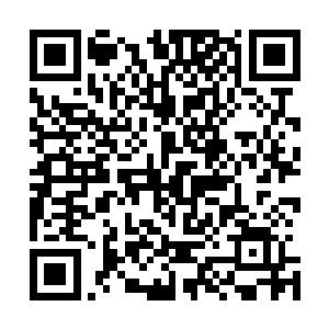 那马羲正单枪匹马地赶往河内边境与他的夫人还有部署会合二维码生成