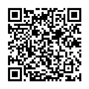 那驱动它们行动的是否和太极八卦之类的阵法有关呢二维码生成