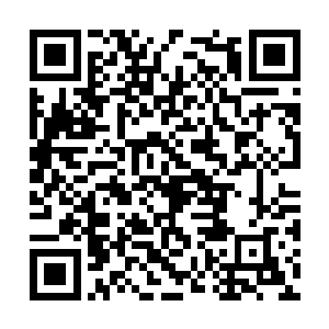 那高大魁梧的男子却突然噗通一声双膝跪倒在地上二维码生成