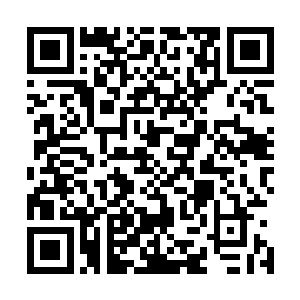 那高贵的气势和流畅的动作分明是一个才貌双全的大家闺秀二维码生成