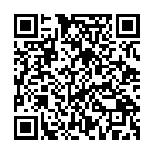那魔宫老宫主这么多年来来这里的次数一共加起来都屈指可数二维码生成