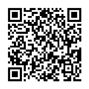 那鳄蛟王也正在跟蓝鲨灵帅密谋着如何对付他们二维码生成