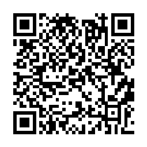 那鳄蛟王的表情落虎蛟族为首一名虎蛟大妖王眼中二维码生成