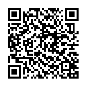 那麻脸男子显然没料到这小女孩竟然会对这麻痹的气体完全免疫二维码生成