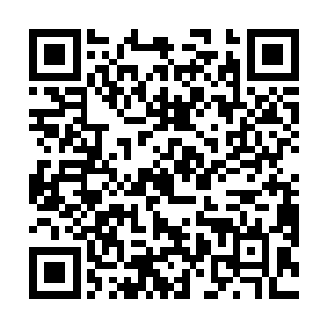 那黄甲大将也因为这法宝受损而忍不住狂喷出一口鲜血二维码生成