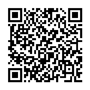 那黄色土狗也一下猛地朝着林烽亲热地扑了过来二维码生成