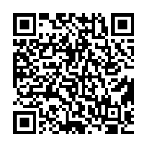 那黄金巨蟒的鳞片早这黑色匕首的面前再也没有半点的抵抗之力二维码生成