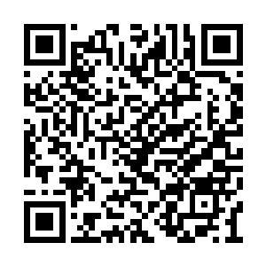 那黄金抬进了县主府自然就属于县主的个人财产二维码生成