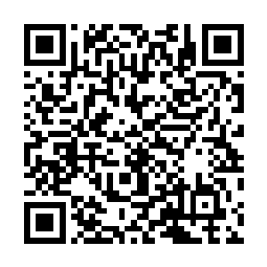 那黑暗精灵所凝聚出来的藤蔓几乎没有起到任何阻拦作用二维码生成