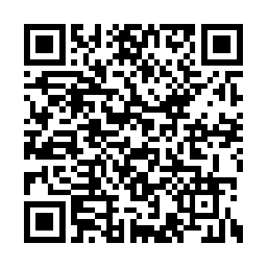 那黑色巨口不知是惯性还是被惊到而未能控制的二维码生成