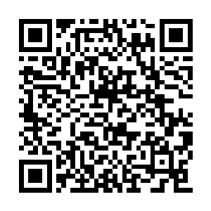 那黑袍男子也是跟随着叶然进入了那个漩涡当中二维码生成