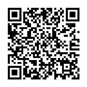 那黑袍道人也再度利用化血神刀斩杀了湿婆几刀二维码生成