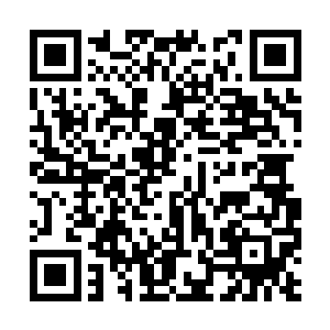 那鼓了一个小包的头部还主动去拱那个圭表式骨器二维码生成