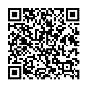 邪修闻言顿时被气得直恨不得将这小子立即剥皮抽筋二维码生成