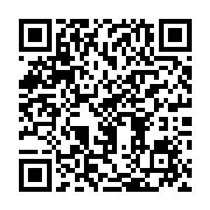 邪神幼芽上象征火系本源法则的图腾纹路发出炽目的金光二维码生成