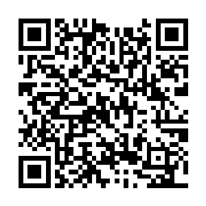 邪神幼芽中压制的雷火天劫之力也要彻底爆发出来二维码生成