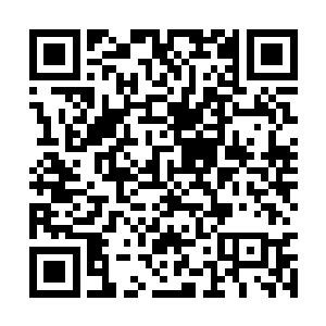 邪神幼芽吞噬的法则碎片毕竟不是林铭自己领悟的二维码生成