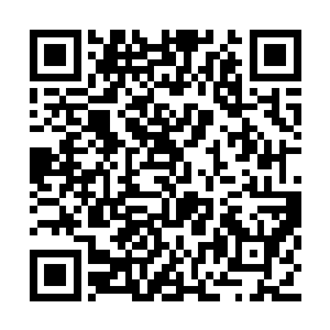 邪符师蓝小娇没有提防纳甲土尸突然从地下冒出二维码生成