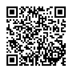 邬船主连滚带爬的从操控者所居的密室中冲了出来二维码生成