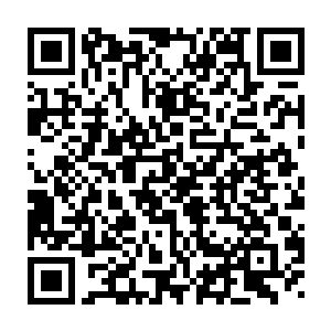 邱小道话还沒说话 只见赵纯良和苏阿蛮两人突然朝着一旁冲了出去二维码生成