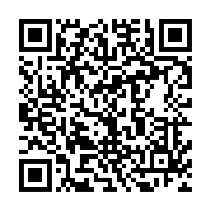 邵丽红和朱晓艳自然不知道夏明鹏夫妇如今越看越喜欢她们二维码生成