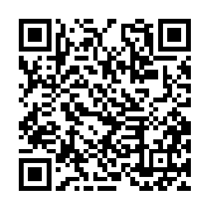 邵建雄仿佛看到了一位圣域大圆满强者在冉冉升起二维码生成