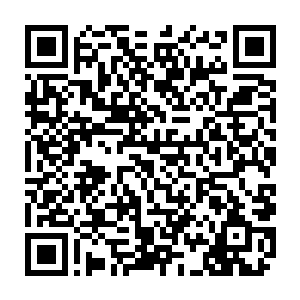 邵建雄原本还以为韩风需要那头强大的大圣域魔兽才能够战胜炽焰金刚兽二维码生成