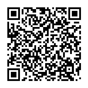 邵易树这个跟土地打了一辈子交道的老实人不禁又是感激又是愧疚道二维码生成