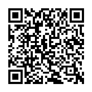 邵玄决定再去看看疑似山峰巨鹰先祖的那些身影二维码生成