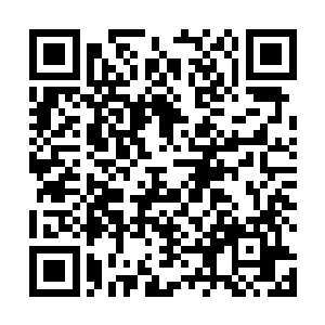 邵玄又想起前往第二据点的时候看到的那场狼群的狩猎二维码生成