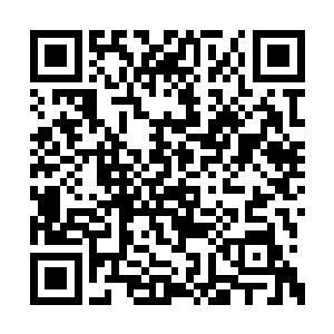 邵玄将手中扛着的昏迷不醒的猎物扔给多康他们二维码生成