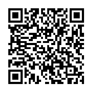 邵玄看着它从一只普通的小狼崽子成长到今天这个样子二维码生成