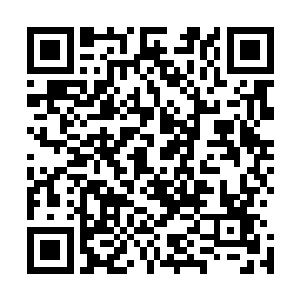 邵玄能够不受其他部落火种强烈排斥的原因就在于这种力量二维码生成
