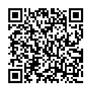 邵诗桔将修罗界的注意事项又事无巨细的给大家科普了一遍二维码生成