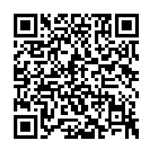 邹同流着泪努力地将皇帝的意思完整的翻译出来二维码生成