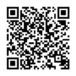 郁晨不知道自己是怎么跟着救援人员将珊珊送到医院的二维码生成