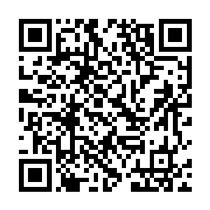 郁波对自己被市委推荐为常委人选也很是惊喜了一番的二维码生成
