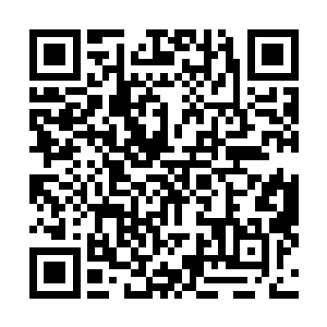 郁郁苍苍的峰岭深处似乎还回荡着陆为民深沉有力的声音二维码生成