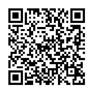 郎中的两只手指一搭上王青眉的手腕就立即弹开二维码生成
