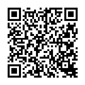 郎坚白看到莫小鱼一瓶53度的茅台酒进肚后没有多大反应二维码生成