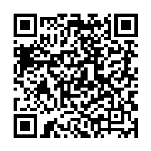 郎坚白还是要莫小鱼把他临摹的那些字画再临摹一遍二维码生成