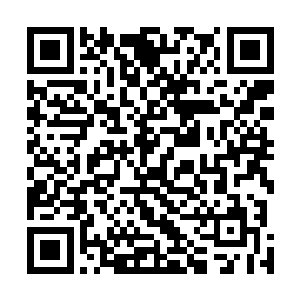 郑东又帮觉非罗确认了一次捆在他腰上的捆仙索十分牢固二维码生成