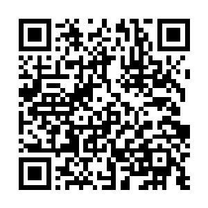 郑凌寒相信能够将一位聚灵境初期的修士身体给轰成碎渣二维码生成