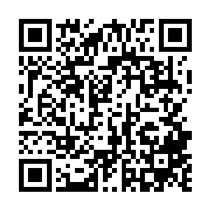 郑卫华这个混蛋背后所做的一切勾当都不敢让徐虹知道二维码生成