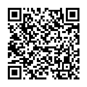郑娇娇的体质只怕是跟郑家主修炼的功法分不开的二维码生成