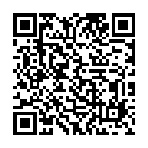 郑月儿和吴婵娟已经被她打发到盛思颜的卧梅轩去了二维码生成