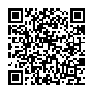 郑浩然无语看着这小两口说着一些看起来很认真的话二维码生成