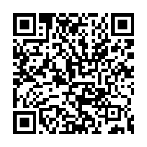 郑轻灵直接把小侄子踢飞到了两军对阵的正中央二维码生成